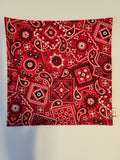 Red paisley hank