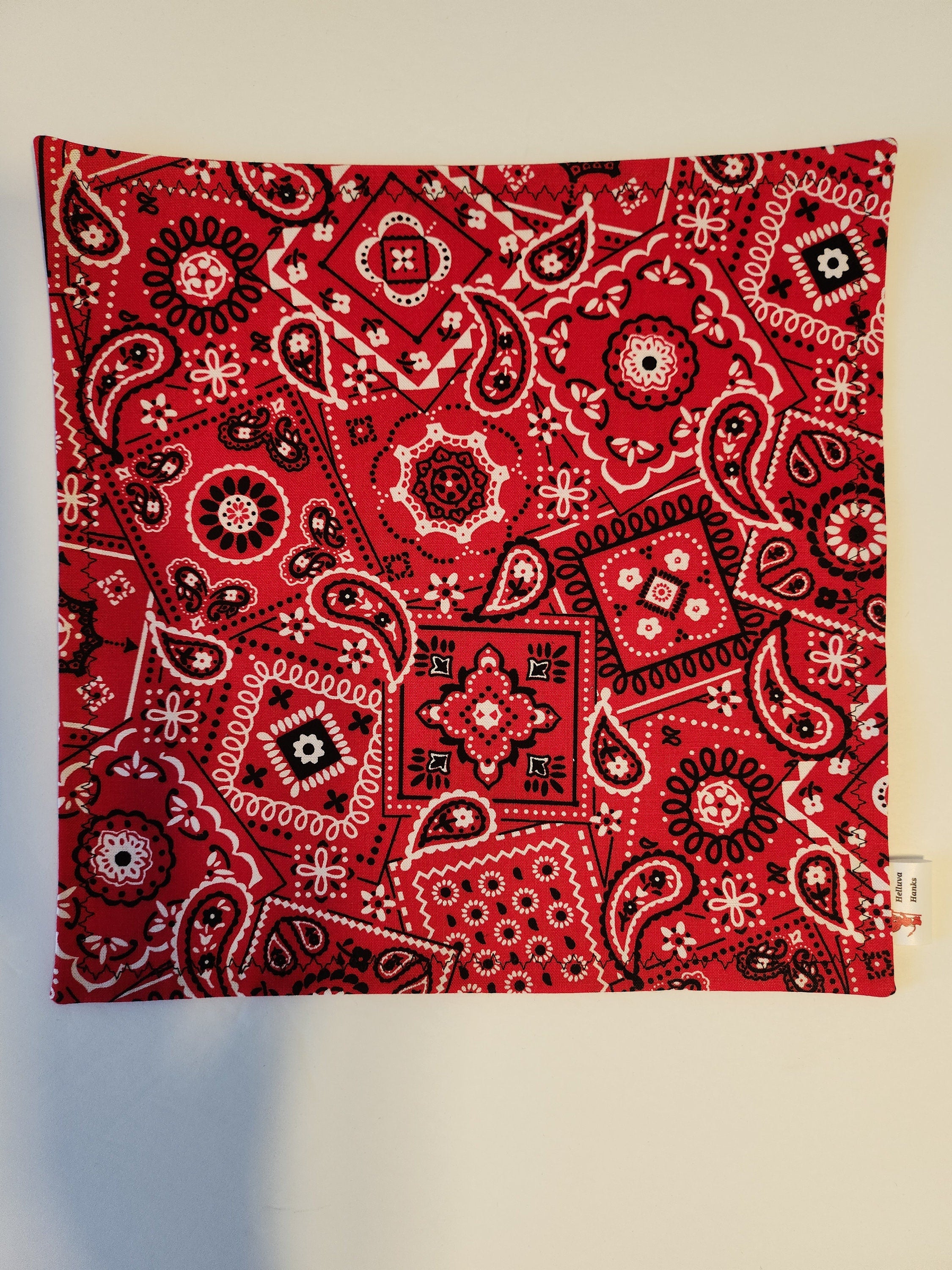 Red paisley hank