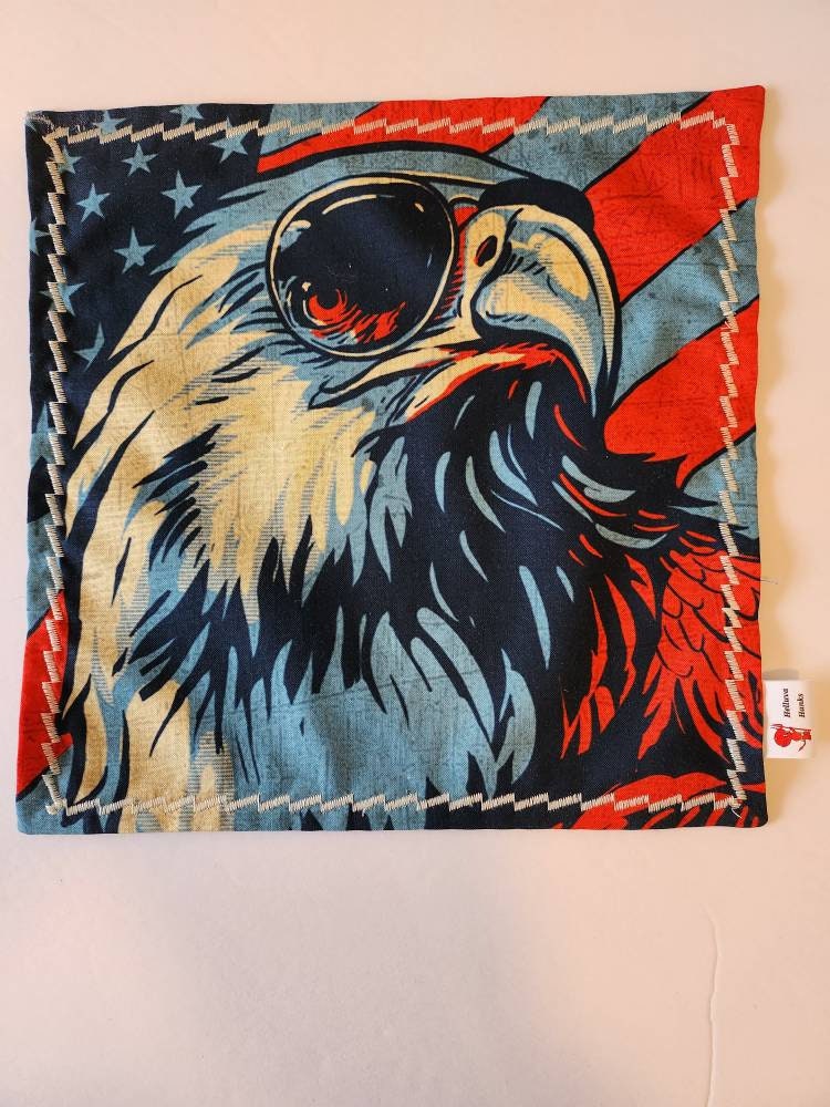 Bald eagle hank 2